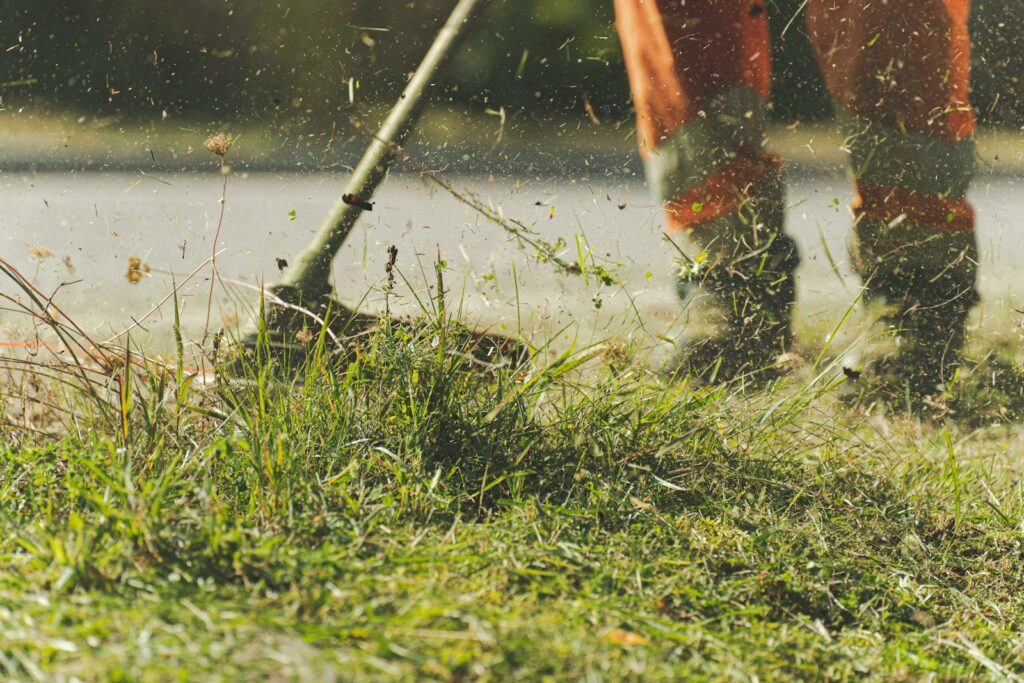 Person Using Lawn Mower