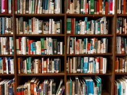 Assorted Books on Book Shelves