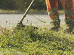 Person Using Lawn Mower